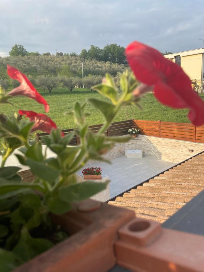 Bed & Breakfast Memory Bed and Breakfast Canzano Buitenkant foto